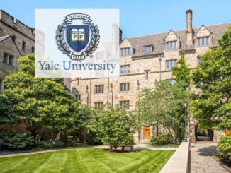 Yale University Scholarships in USA 2025