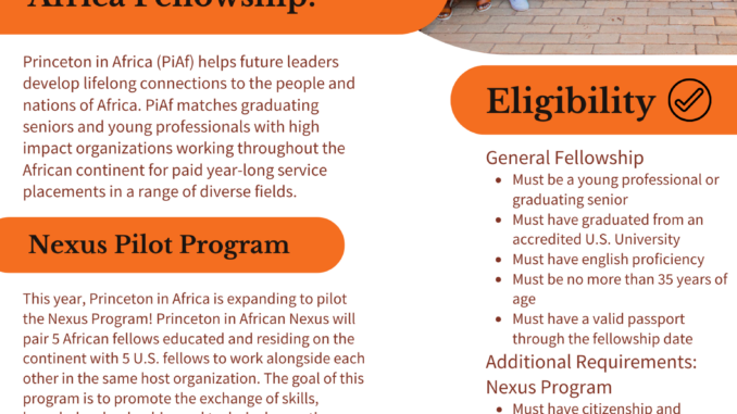 Princeton in Africa Fellowships 2025/2026