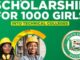 Ogun State Government TVET Scholarship 2024 for Nigerians | Earn Up to N150,000 Per Session