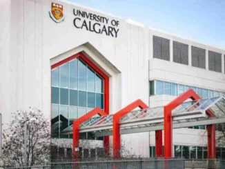 University of Calgary Undergraduate Scholarship 2025 for International Students