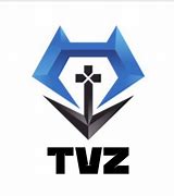 Call for Applications: Full Stack Developer (Remote) at TVZ Corp