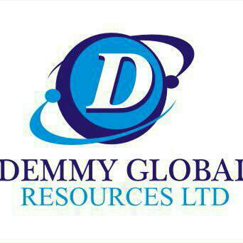 Call for Application: Data Analyst at Demmy Global