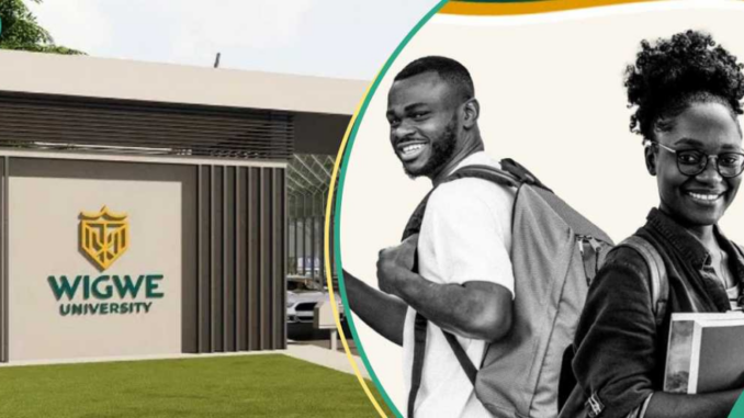 Wigwe University 2024 Merit Scholarship for Nigerian Students