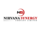 Nirvana Synergy Company || Social Media Community Manager